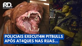 Pitbulls causam pânico no DF após tutor perder controle; polícia intervém | Rastro da Notícia