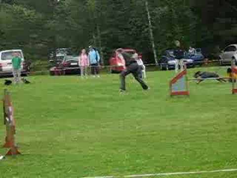 panu ja sisu siuntio 10.8.2008