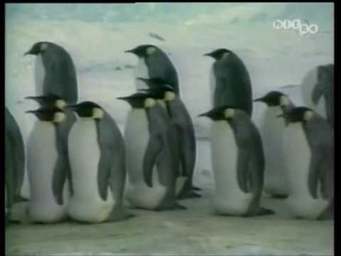 Jean Michel Jarre - Oxygene (Penguins) & Equinoxe   MIX  STEREO [HD]