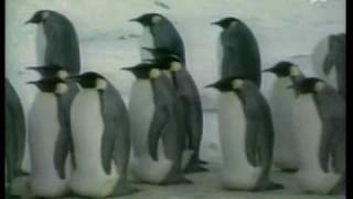 Jean Michel Jarre - Oxygene (Penguins) & Equinoxe   MIX  STEREO [HD]