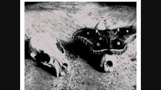 Mimicking Birds - Memorabilia (Lyrics)