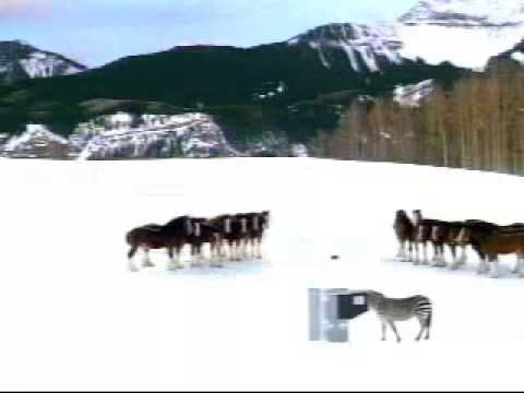 tjglogowski’s Video 117616057080 NsWKvtButwo