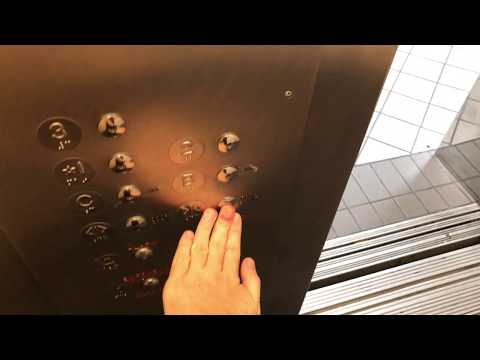 4K 60fps: Montgomery Traction Elevator At Macy's In CambridgeSide - Cambridge, Massachusetts