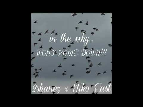 2SHANEZ - in the xxky... WONT KOME DOWN!!! [2020]