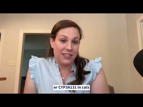 Daily Rounds: Cytochrome P450–Mediated Drug Interactions