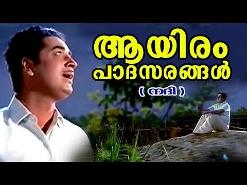 Aayiram Padhasarangal |Nadhi |Vayalar Ramavarma |Devarajan | Yesudas |Evergreen Malayalam Film Songs