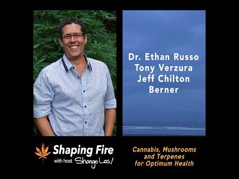 Shaping Fire Ep70 "Cannabis, Mushrooms, and Terpenes" with guests Russo, Verzura, Chilton and Berner