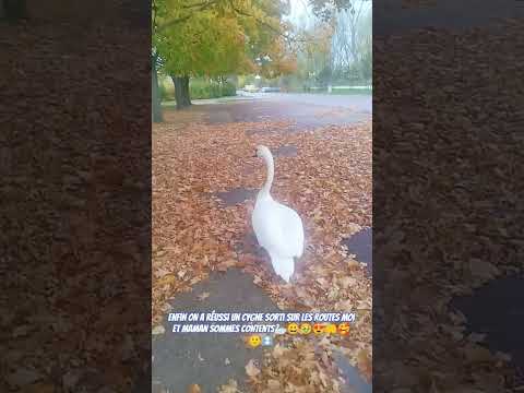 noméru 3 😍🥹🤲