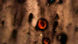 Jen Wood &quot;Stars Above&quot; Music Video