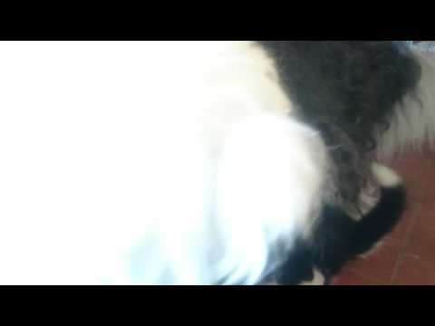 Keeana, Cedric und LaKisha