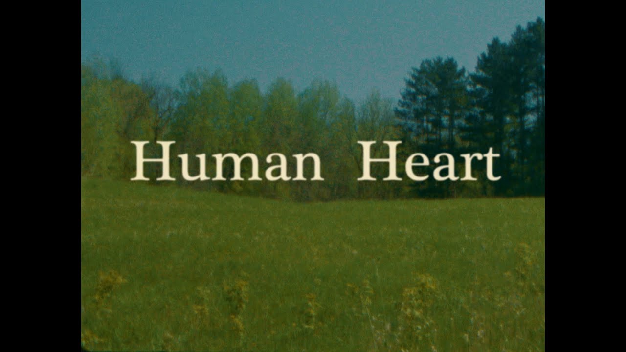 Promotional video thumbnail 5 for B.J. Fisher