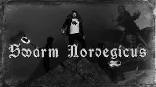 Kampfar - Swarm Norvegicus (Djevelmakt 2014)