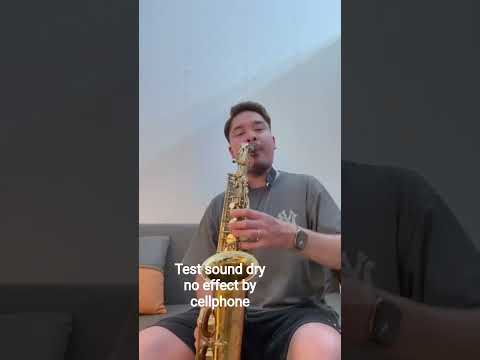 Selmer Super Action 80 ( Series I) Alto Saxophone. Outstanding - Oiginal Lacquered image 15