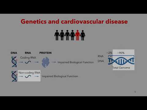 GLSE Talks: Exploring the role of the non-coding genome in cardiovascular disease