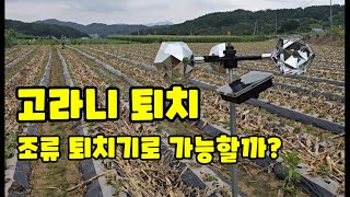 콩밭 메주콩 조류 퇴치기 설치 고라니 퇴치 시도 효과가 있을지 [콩재배방법]