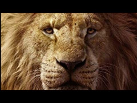 lion king in less than 60 seconds