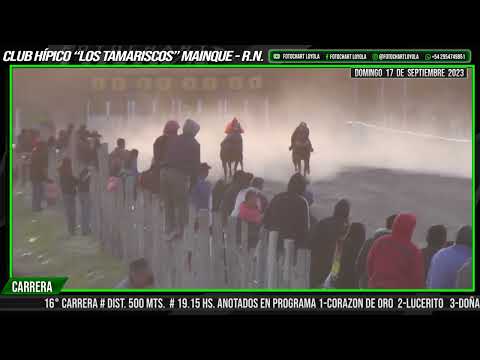 CORAZON DE ORO - Mainque - R.N. 17-09-23.@fotochartloyola23