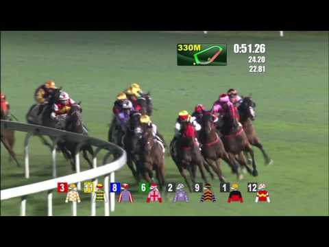 Perpetual Joyance - Karis Teetan (12 april)