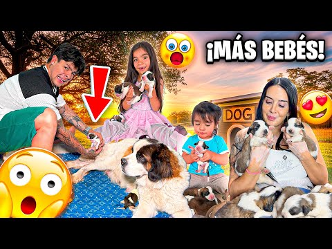 BABY BIRTH! 😱 My OTHER dog also gave birth and it was AMAZING 🐶❤️