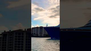 Carnival Celebration 🛳️  #shorts #youtubeshorts #travel #cruise #yt