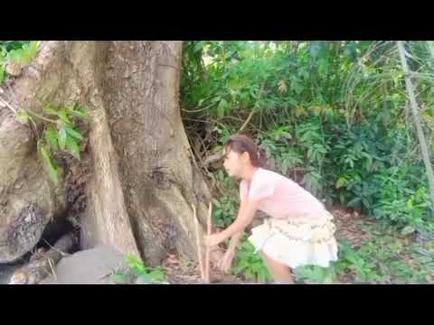 meske-vs-mince-barang-kuning-anyor