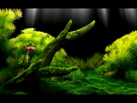 Loreena McKennitt - Kellswater (1985)