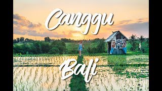 CANGGU RICE PADDY AND KUTA SURF MISSION - BALI VLOG