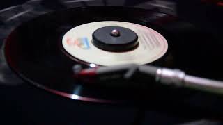 Maureen McGovern the continental