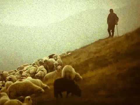 Sága krásy - Russian song. "Horse" - "Конь".
