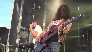 AUSMUTEANTS - Live at Binic Folks Blues Festival 2016