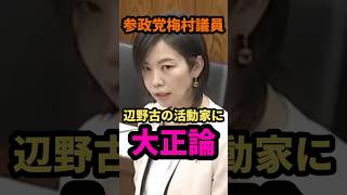 🎌参政党梅村みずほ議員、辺野古の活動に対し大正論をかましてしまう #政治  #参政党 #梅村みずほ