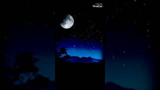 missing for king and country