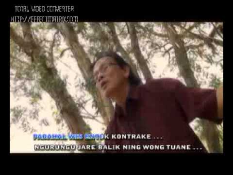 MERTUA CAMPUR TANGAN ( Ipang.S )