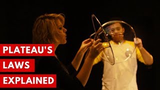 Thumbnail for Plateau's Laws of Soap Bubbles - Explained