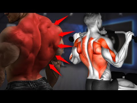 5 Effective Exercises To Build A Fast Huge and Massive 3D Back 💪