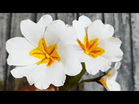how to make primrose paper flower@kiran.gurupanchayan #flowercraft #crapepaper#papercraft#primrose