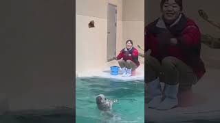 Essa é a Lontra mais Fofa do Mundo 😍❤️