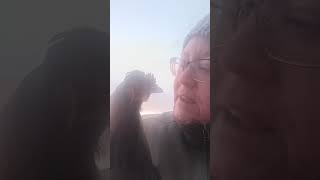 Vivre simplement à la campagne #campagne #vlog #maman #jardin