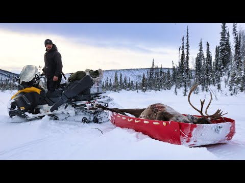 FULL Season Winter Caribou Hunt | ALASKA 2023-2024