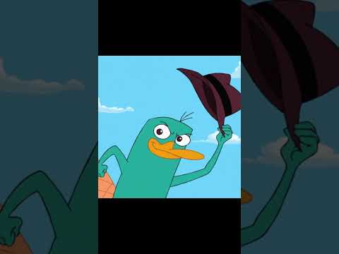 PERRY DAS SCHNABELTIER WIRD ERWISCHT!