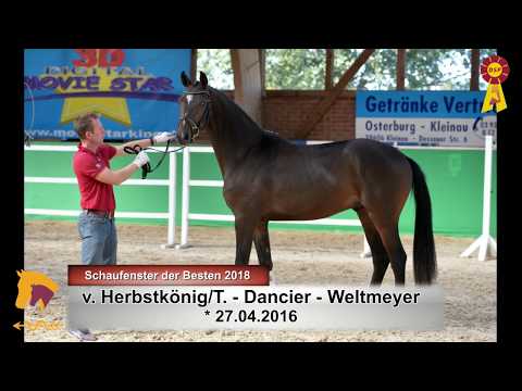 15. Herbstkönig - Dancier