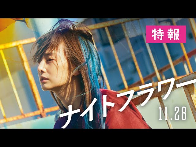 映画『ナイトフラワー』【特報】11月28日（金）全国公開