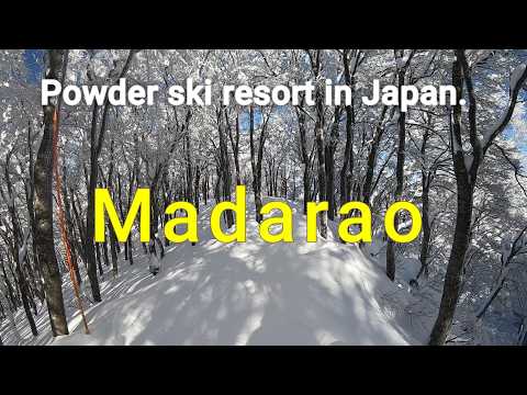 Video: Powder Ski resort in Japan. "Madarao"