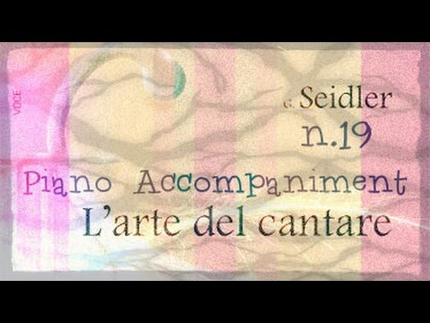 Seidler n.19 - Piano Accompaniment (Play - Along)