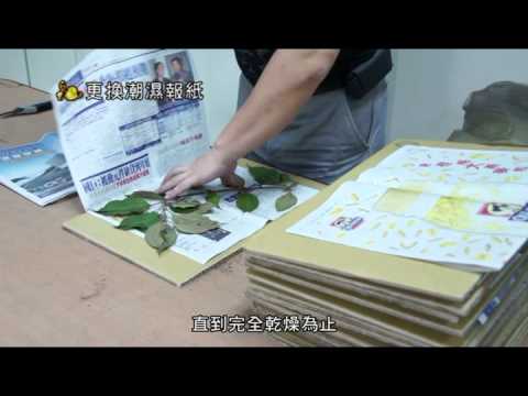 植物標本館-標本製作與保存