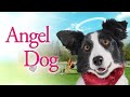 Angel Dog | Heartwarming Story About How a Dog Saves A Grieving Man | Jon Michael Davis, Farah White