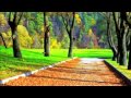 Песня о настоящей любви - Осенний дождь 