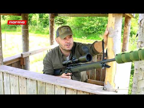 Grundlegende jagdliche Schusstechnik vom Hochsitz [Norma Academy]