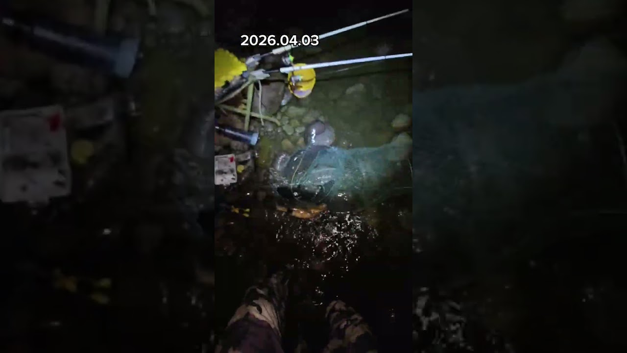 清明時節雨紛紛 #鹽巴嚴選