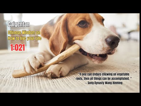 Caigentan: Chinese Wisdom to Improve your Life 1:021 Sincerity and harmony #wisdom  #improvelife